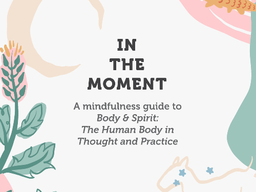 Activity Trail: In The Moment